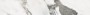 Marble Effect White Large Format Over 600x600 Porcelain for ; Finish - Matt